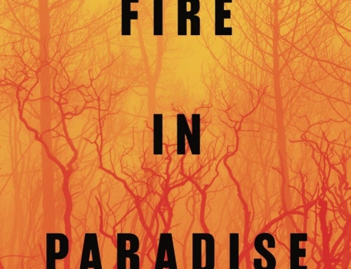 Fire in paradise